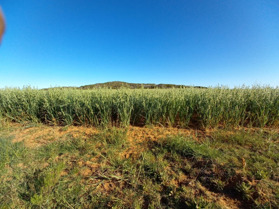  Bedroom Property for Sale in Riversdale Rural Western Cape